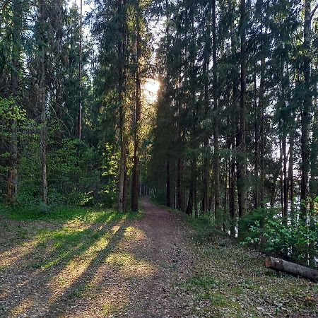 Апартаменти Ozolu Gatve 2- No Cesim 7 Km Janmuiza Екстер'єр фото